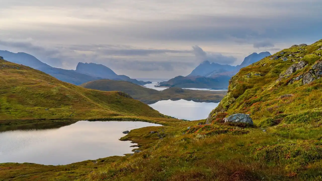 Why You Should Learn A Sami Language Today